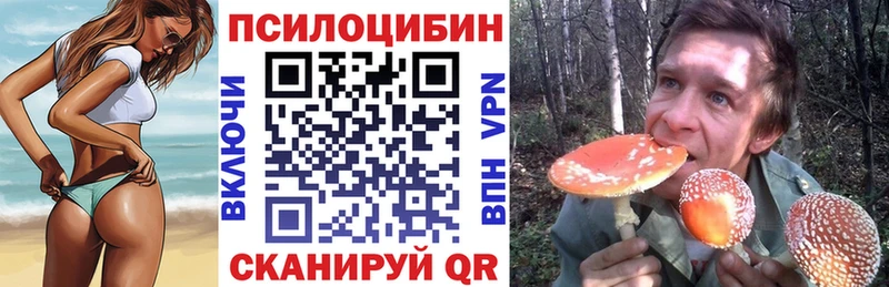 Псилоцибиновые грибы MAGIC MUSHROOMS  мега как зайти  Тула  даркнет сайт 